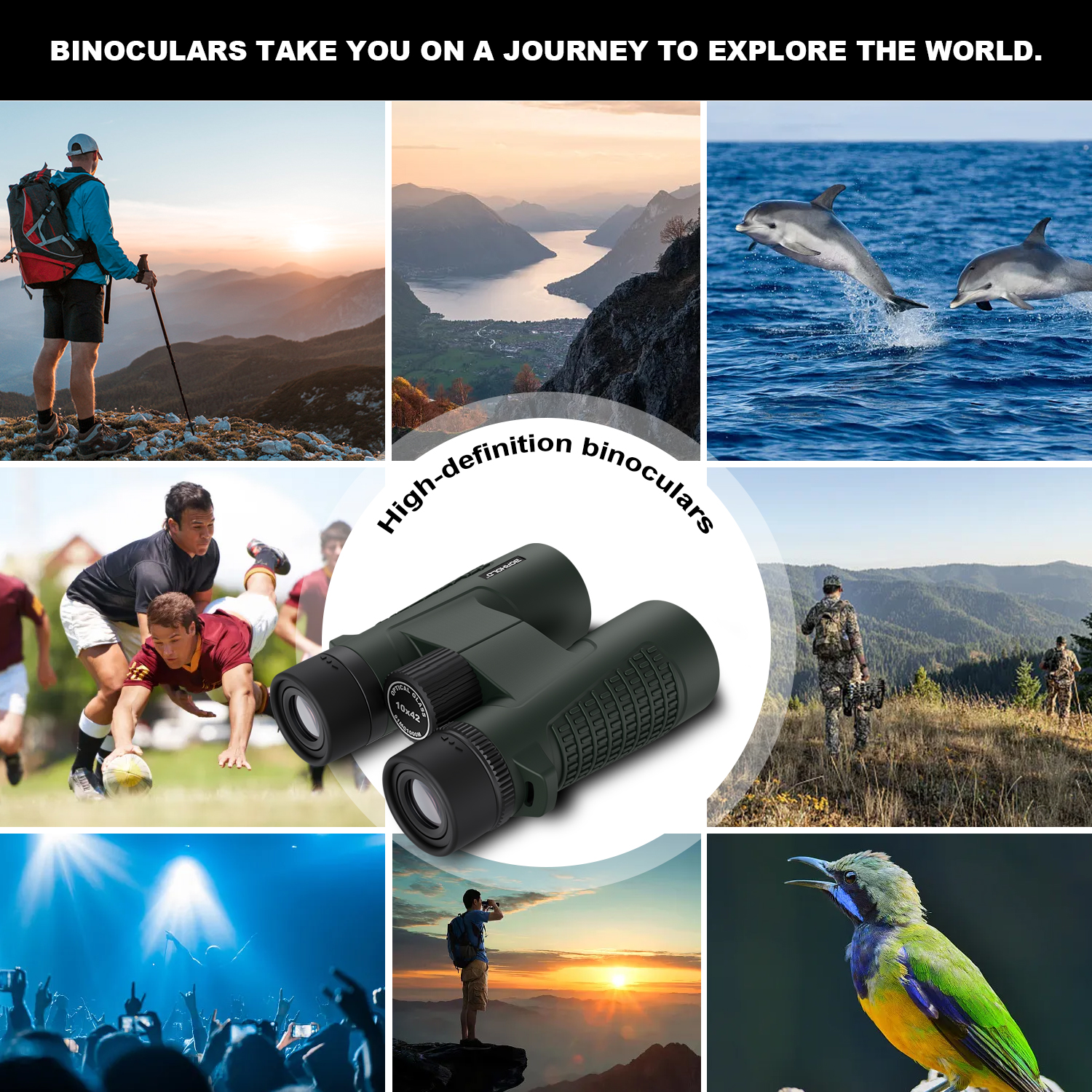 Borhold 8X42 HD binoculars
