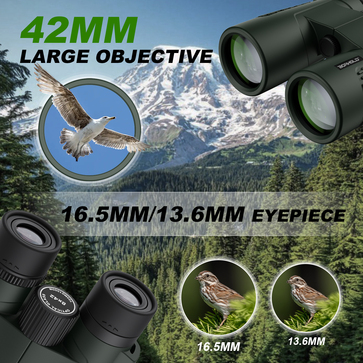 Borhold 8X42 HD binoculars